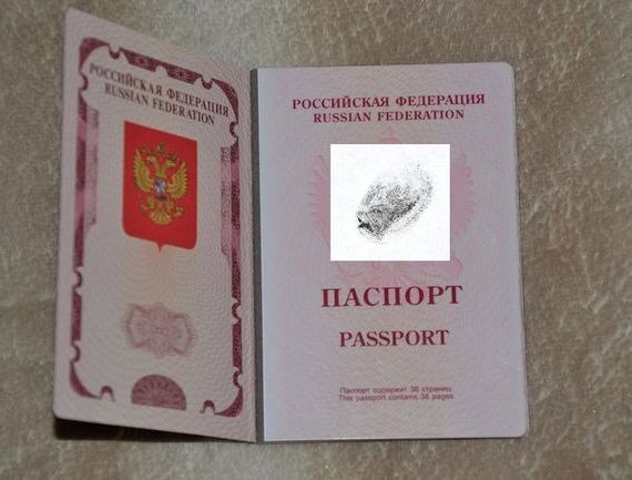 прописка в Заозёрном
